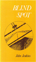 Blind spot cover web